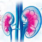 Renal Replacement Therapy